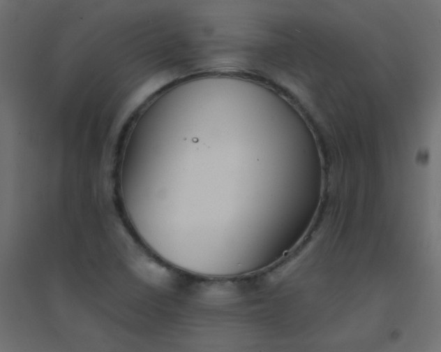X0000094451410200711211508