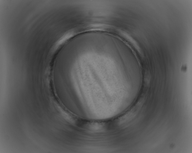 X0000094451411200711211508