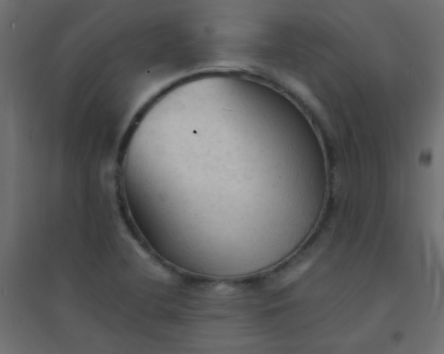 X0000094451412200711211508