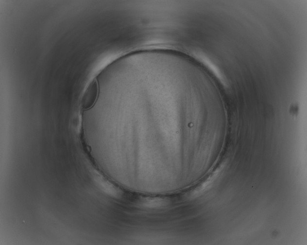 X0000094451413200711211508