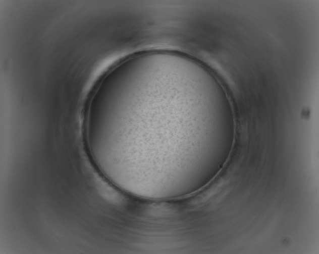X0000094451416200711211508