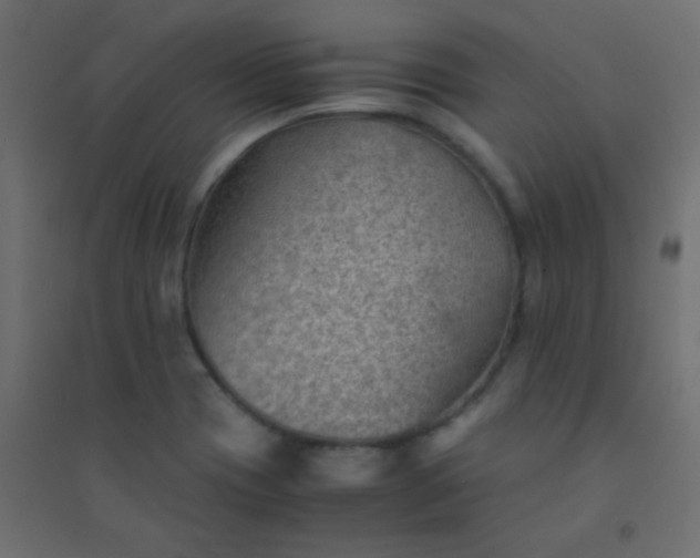 X0000094451417200711211508