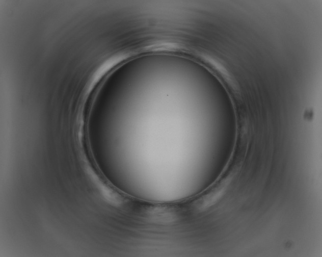 X0000094451418200711211508