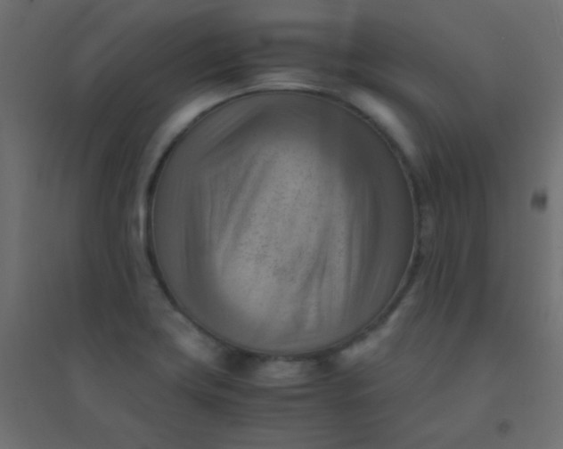 X0000094451419200711211508