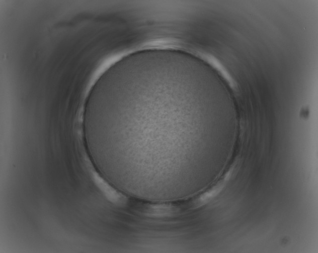 X0000094451421200711211508