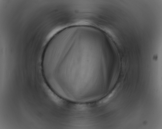 X0000094451422200711211508