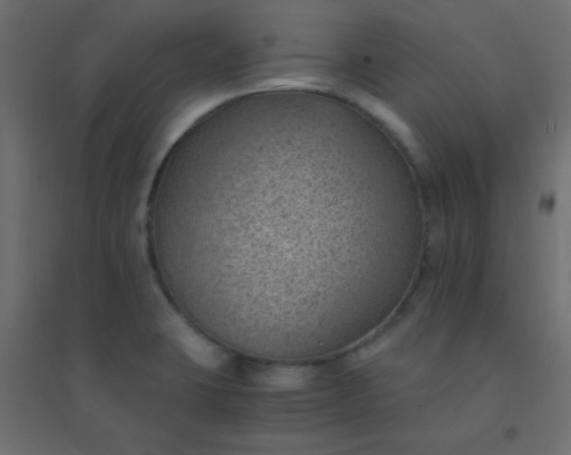 X0000094451423200711211508
