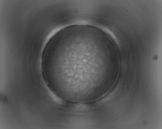 X0000094451424200711211508
