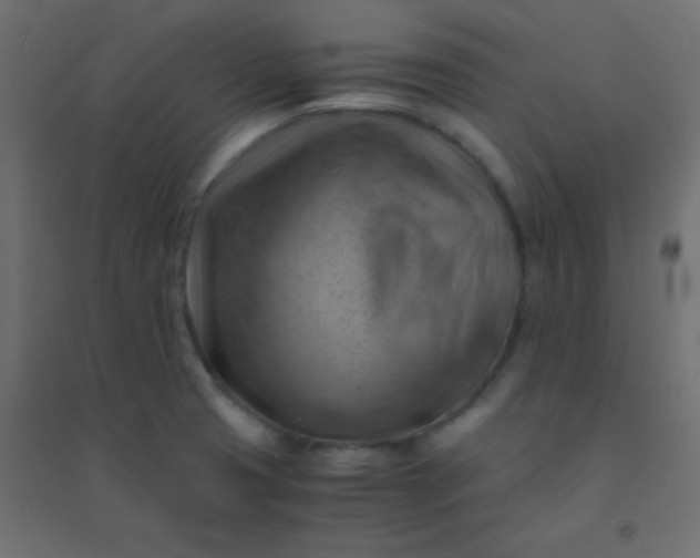X0000094451425200711211508