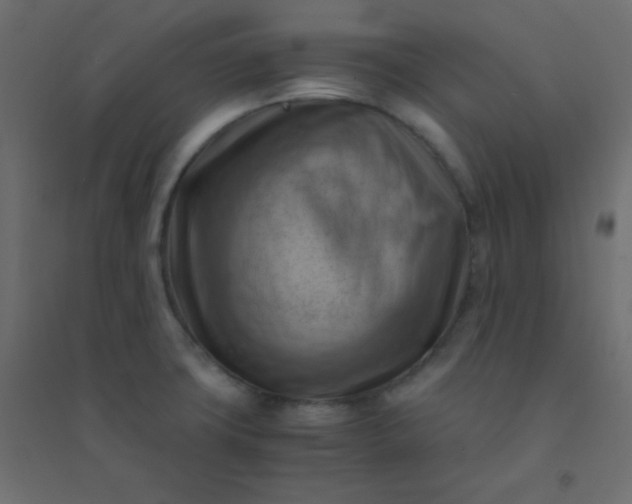 X0000094451427200711211508