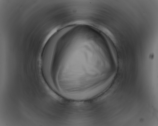 X0000094451428200711211508