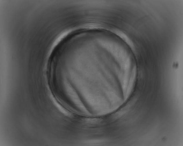 X0000094451429200711211508