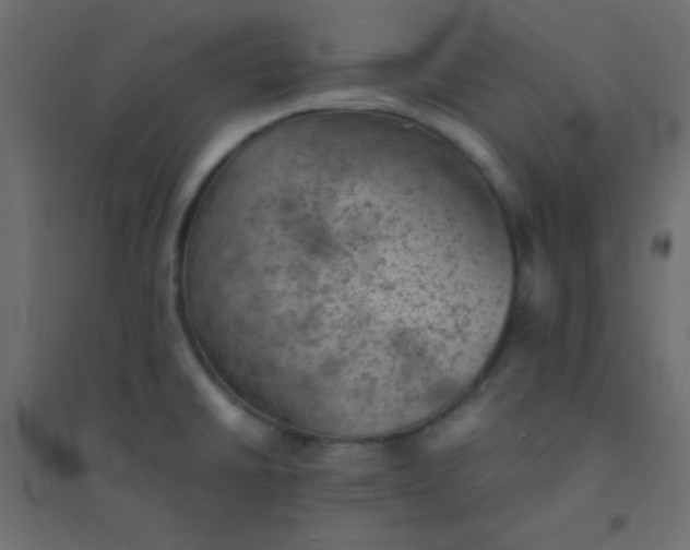 X0000094451430200711211508