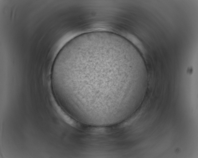 X0000094451431200711211509