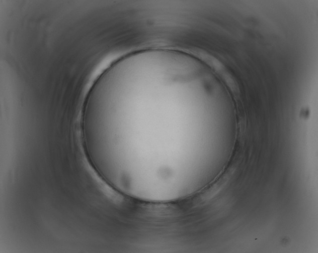 X0000094451432200711211509