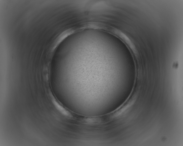 X0000094451433200711211509