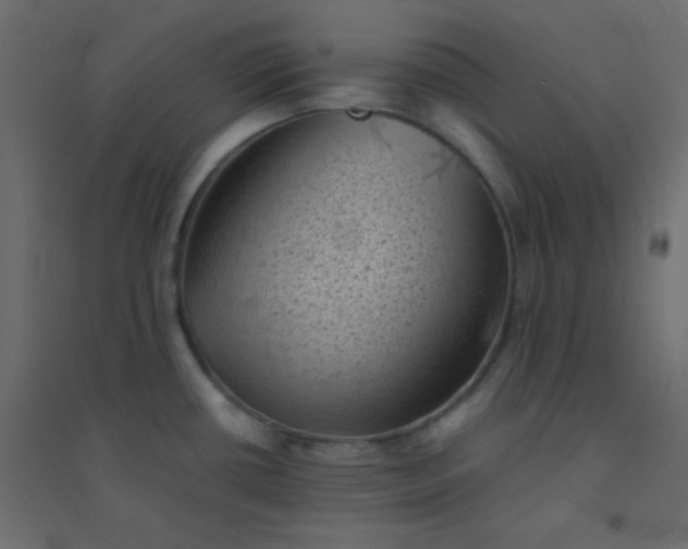 X0000094451434200711211509