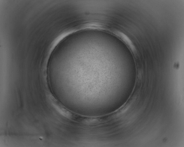 X0000094451435200711211509