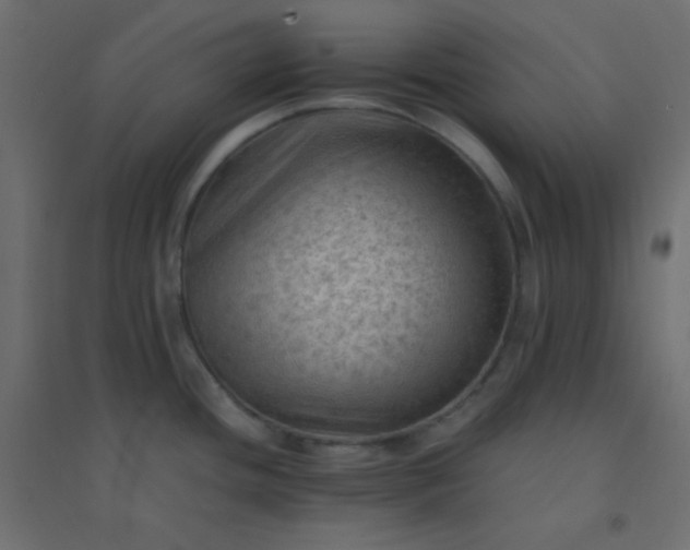 X0000094451436200711211509