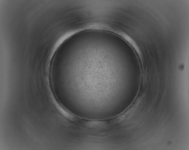 X0000094451437200711211509