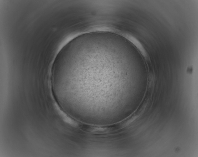 X0000094451439200711211509