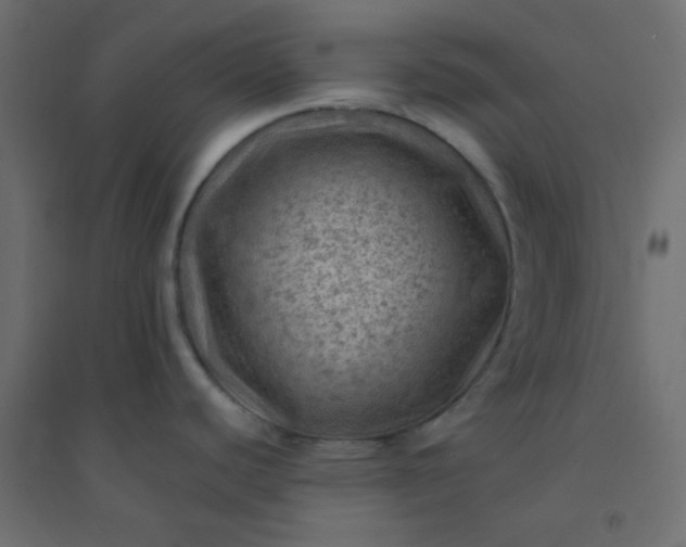 X0000094451440200711211509