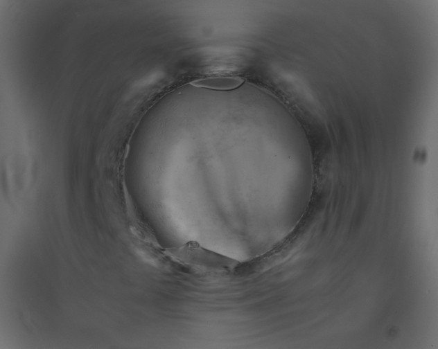 X0000094451441200711211508