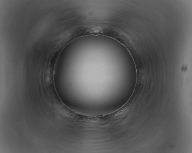 X0000094451442200711211508