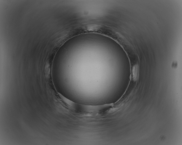 X0000094451443200711211508