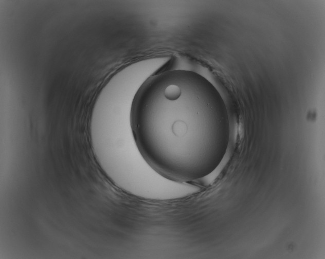 X0000094451444200711211508