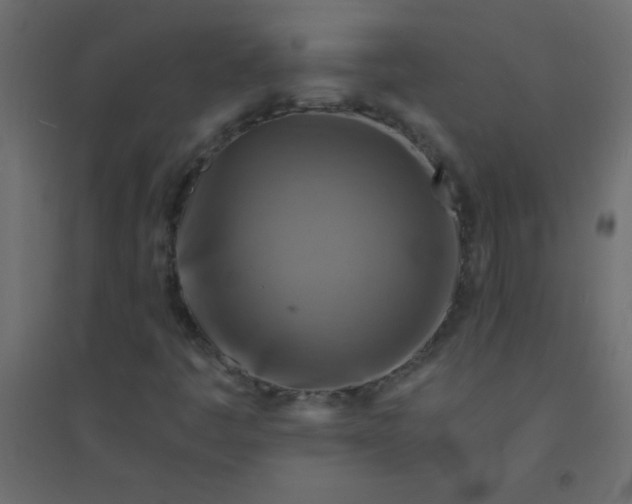 X0000094451445200711211508