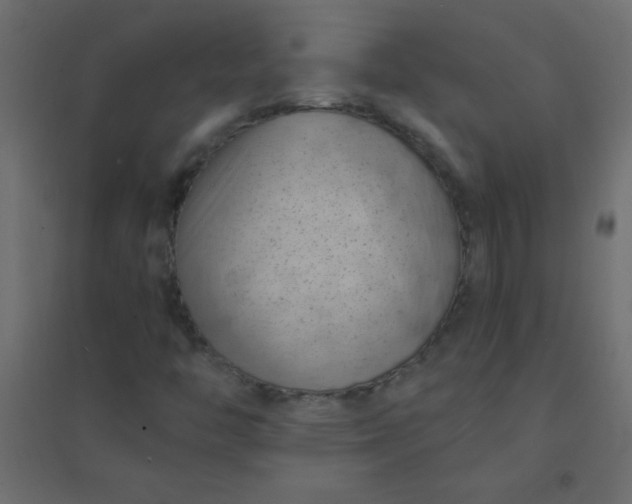 X0000094451446200711211508