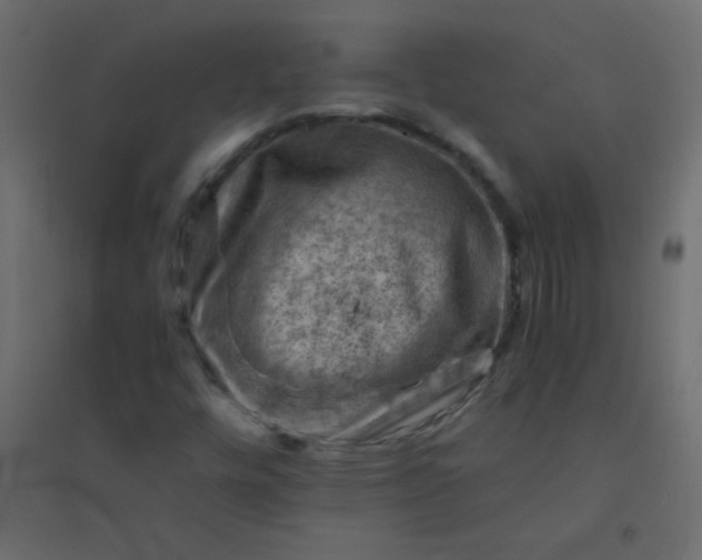 X0000094451448200711211508