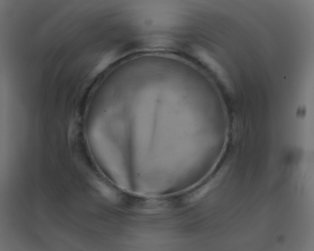 X0000094451449200711211508