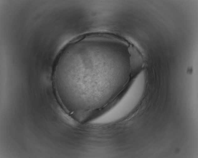 X0000094451452200711211508