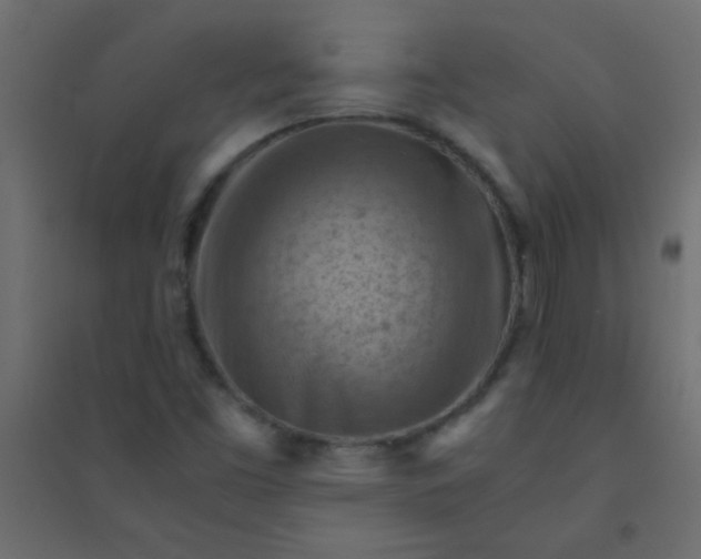X0000094451453200711211508