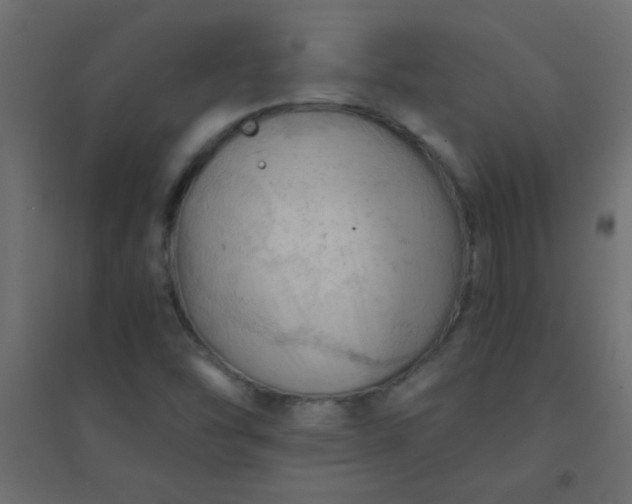 X0000094451454200711211508