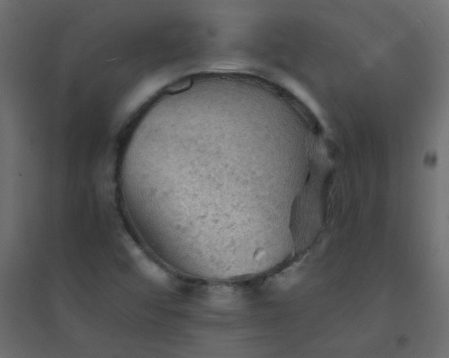 X0000094451456200711211508