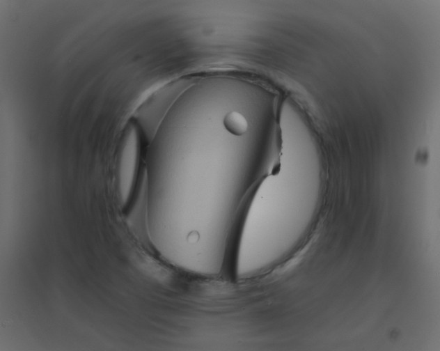 X0000094451457200711211508