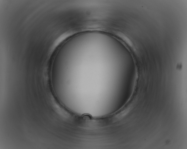 X0000094451458200711211508