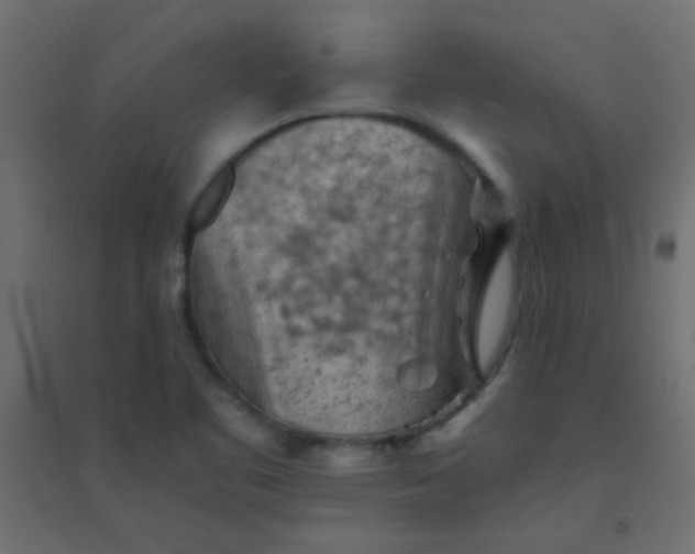 X0000094451461200711211508