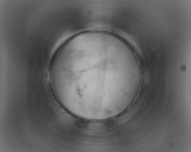 X0000094451462200711211508