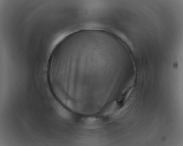 X0000094451463200711211508