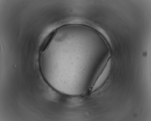 X0000094451464200711211508