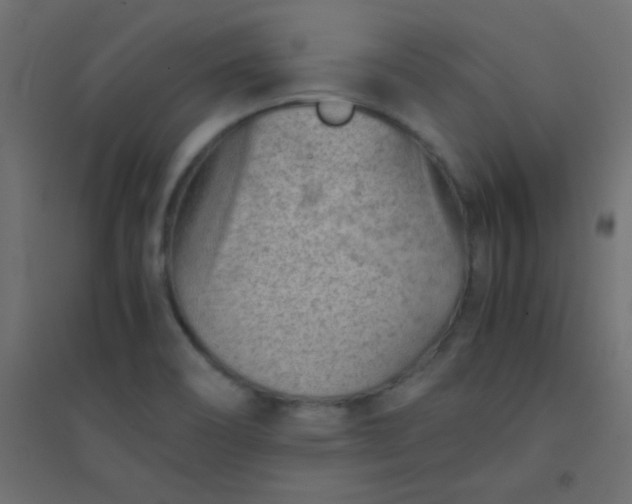 X0000094451466200711211508