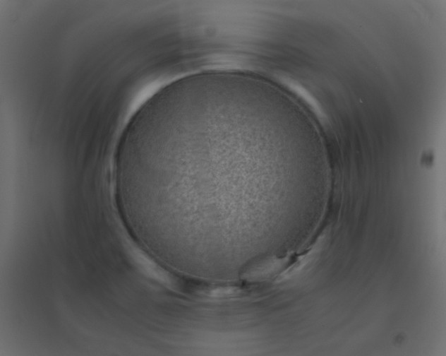 X0000094451467200711211508