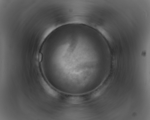 X0000094451468200711211508