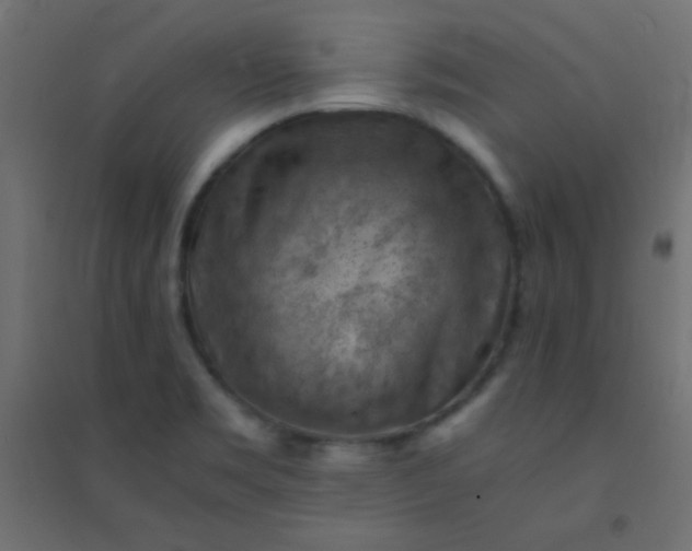 X0000094451469200711211508