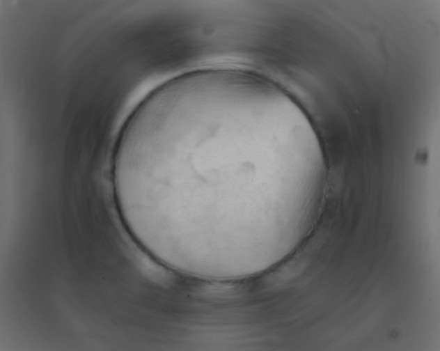 X0000094451470200711211508