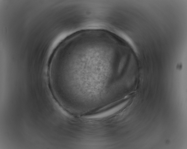 X0000094451472200711211508